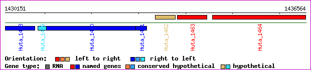 gene map