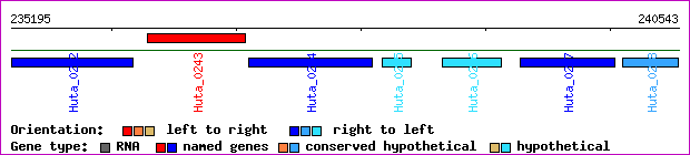 gene map