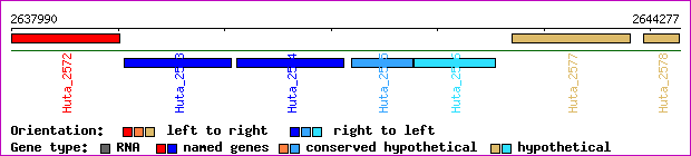 gene map