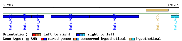 gene map