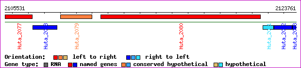 gene map