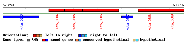 gene map