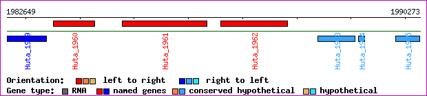 gene map