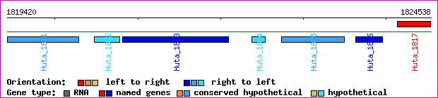 gene map