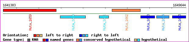 gene map