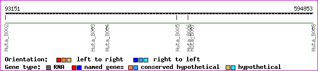 gene map