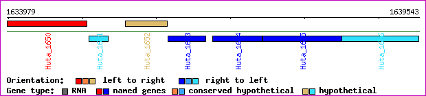 gene map