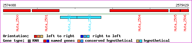 gene map