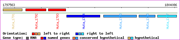 gene map
