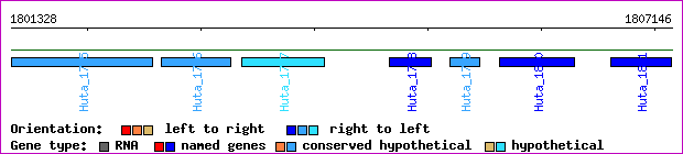 gene map