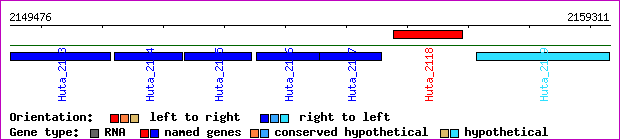 gene map