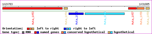gene map