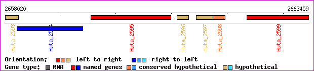 gene map