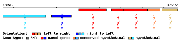 gene map