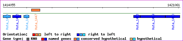 gene map