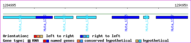 gene map