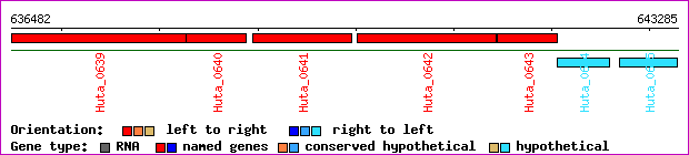 gene map