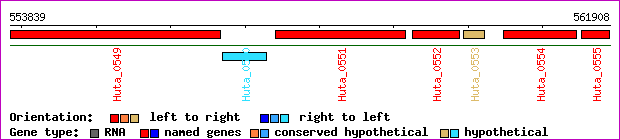 gene map