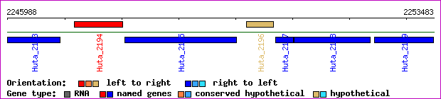 gene map