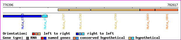 gene map