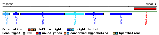 gene map