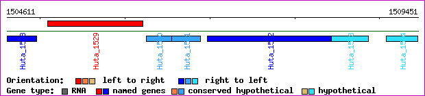 gene map