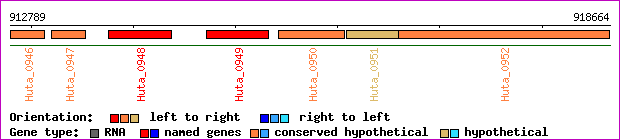 gene map