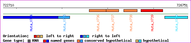 gene map