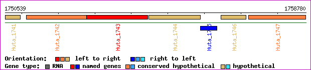 gene map