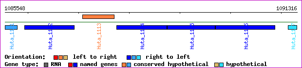gene map