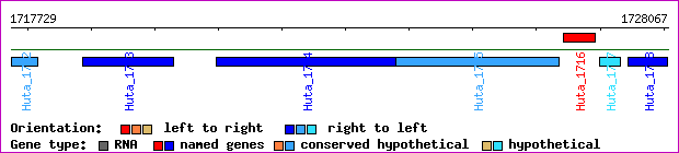 gene map