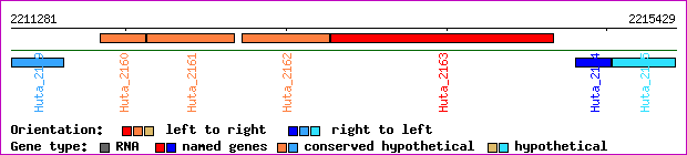 gene map