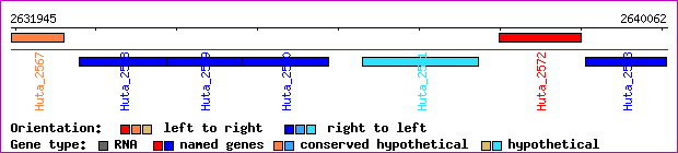 gene map