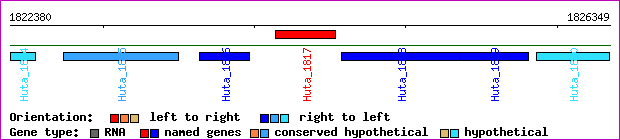 gene map