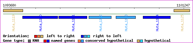 gene map