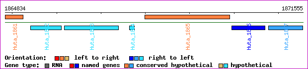 gene map