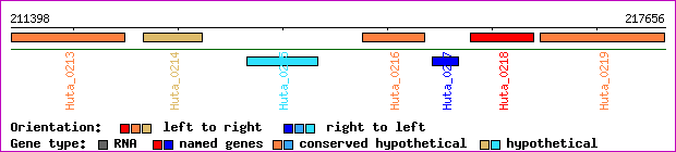 gene map