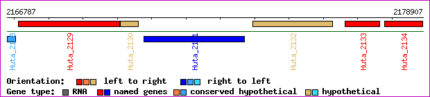 gene map