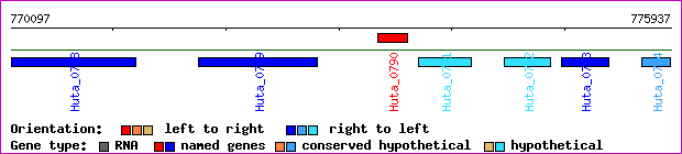 gene map