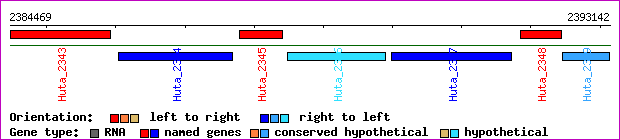 gene map