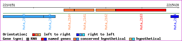 gene map