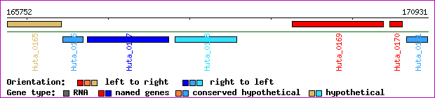gene map