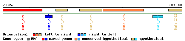 gene map
