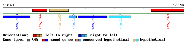 gene map