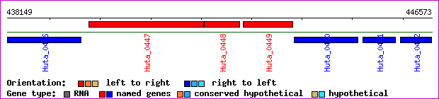 gene map