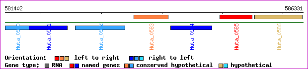 gene map
