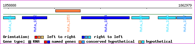 gene map