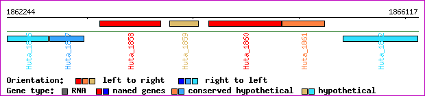 gene map