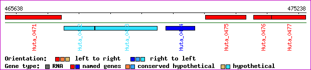 gene map