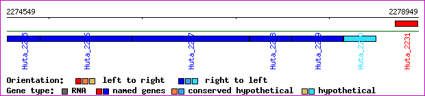 gene map
